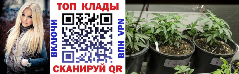 Где можно купить наркотики Усть-Лабинск КОКАИН A PVP Бутират Каннабис ЭКСТАЗИ ГАШИШ МЕФ