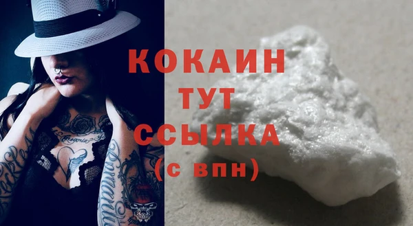 гашик Арсеньев