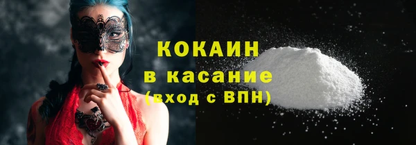 гашик Арсеньев