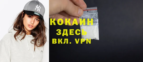 гашик Арсеньев