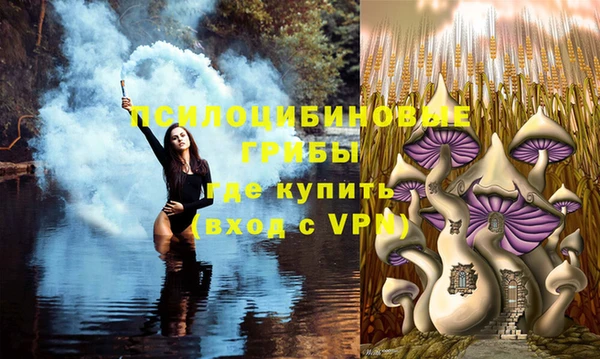 гашик Арсеньев