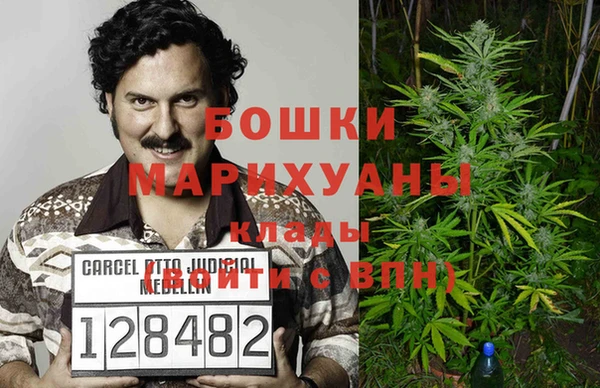 гашик Арсеньев